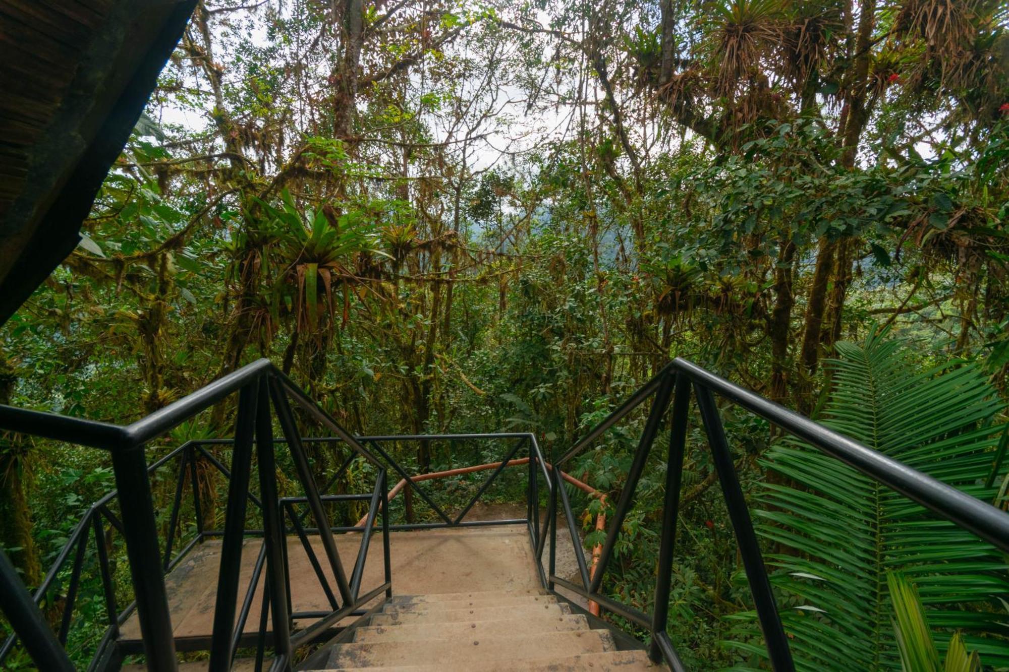 Bellavista Cloud Forest Lodge & Private Protected Area Tandayapa Buitenkant foto