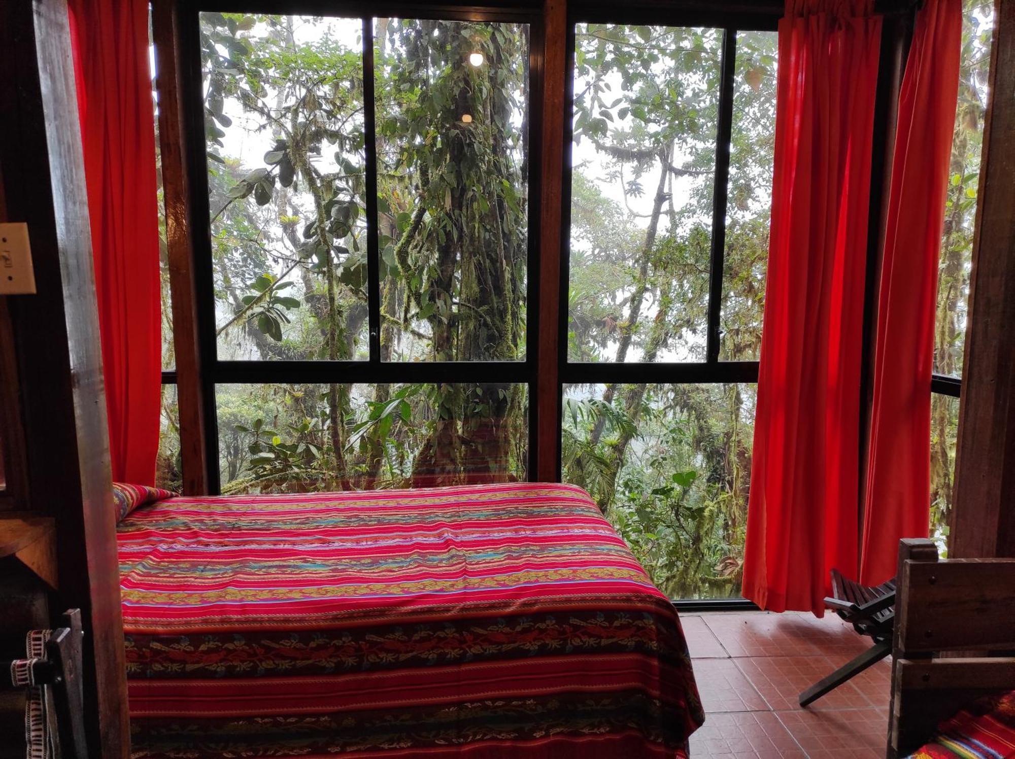 Bellavista Cloud Forest Lodge & Private Protected Area Tandayapa Buitenkant foto