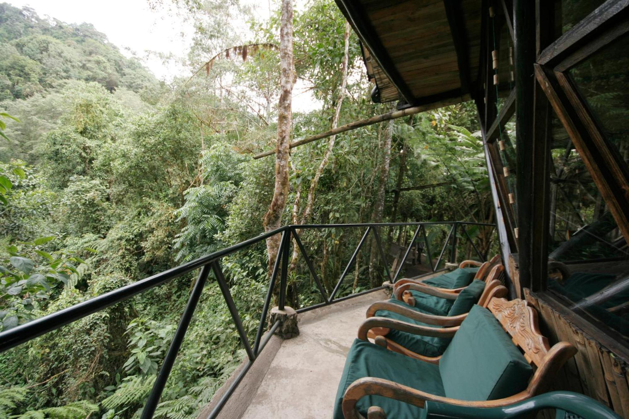 Bellavista Cloud Forest Lodge & Private Protected Area Tandayapa Buitenkant foto