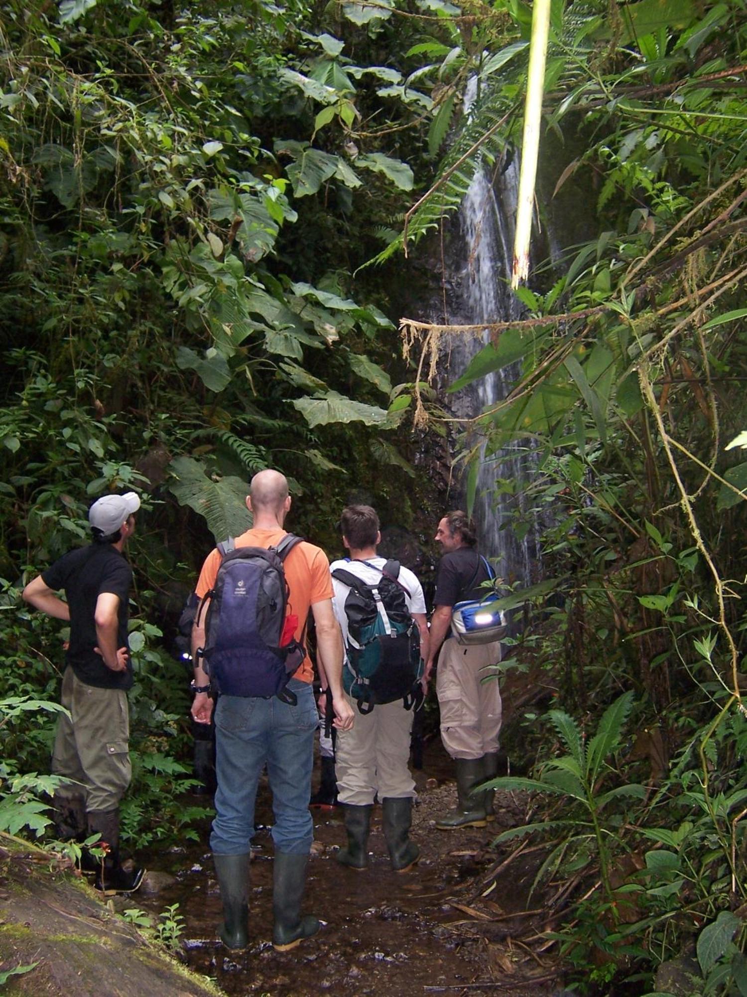 Bellavista Cloud Forest Lodge & Private Protected Area Tandayapa Buitenkant foto