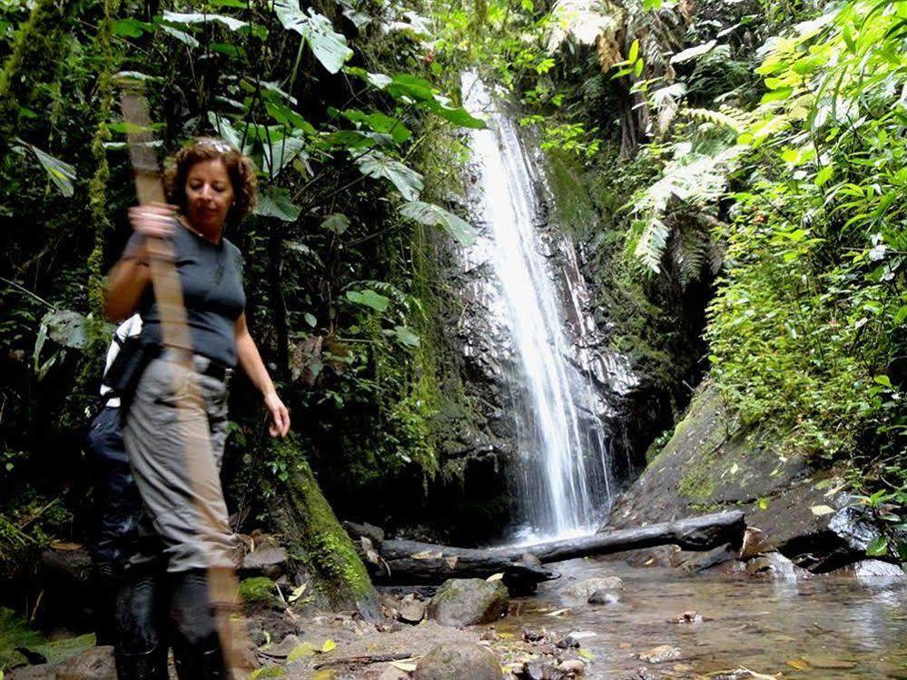 Bellavista Cloud Forest Lodge & Private Protected Area Tandayapa Buitenkant foto